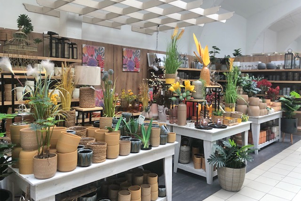 Bild 2 von Lorenz Baumarkt & Gartencenter GmbH